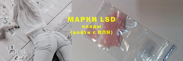 ECSTASY Богородск