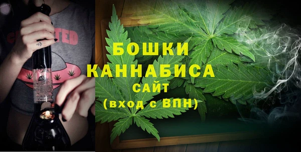 ECSTASY Богородск